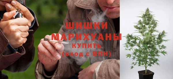 гидропоника Верея